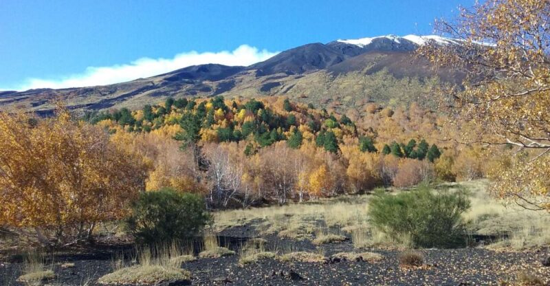 Private Etna Tour From Taormina - Key Points