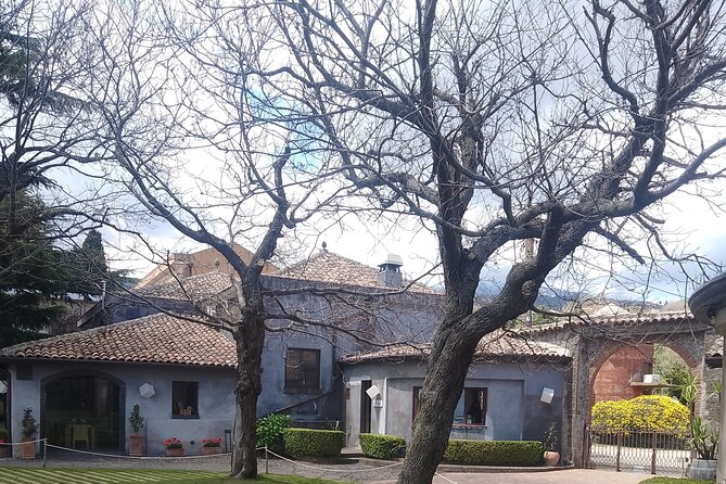 Private Etna Tour With Wine Tasting and Lunch - Verified Guest Reviews