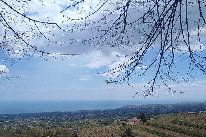 Private Etna Tour With Wine Tasting and Lunch - Expert Tour Guides