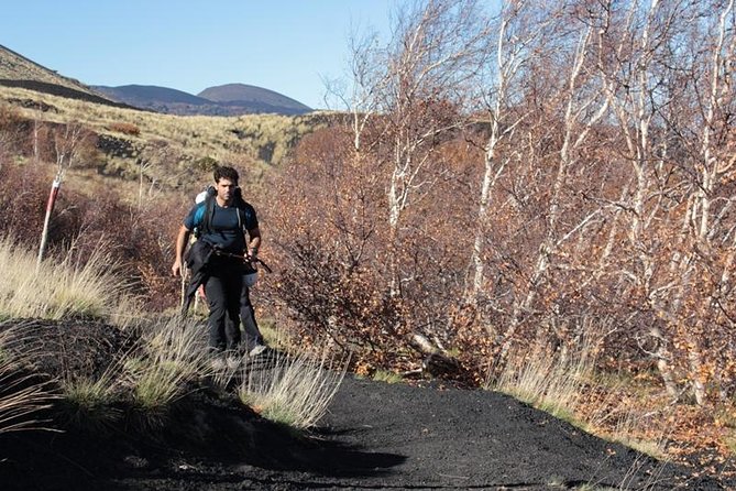 Private Etna Trekking Half Day Tour From Taormina - Guided Trekking Experience