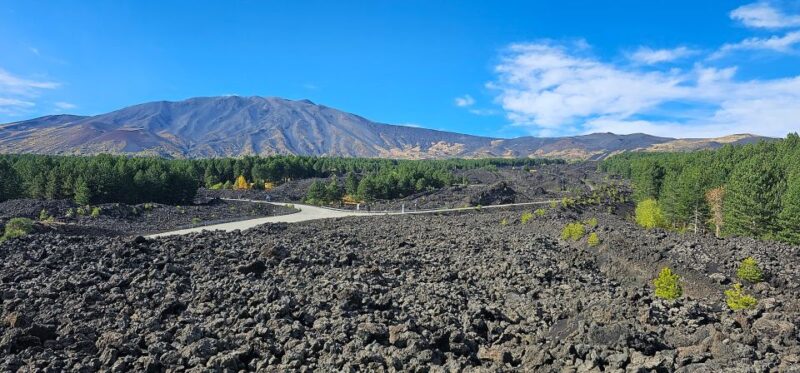 Private Etna Wine Tour - Exploring Etnas Wonders