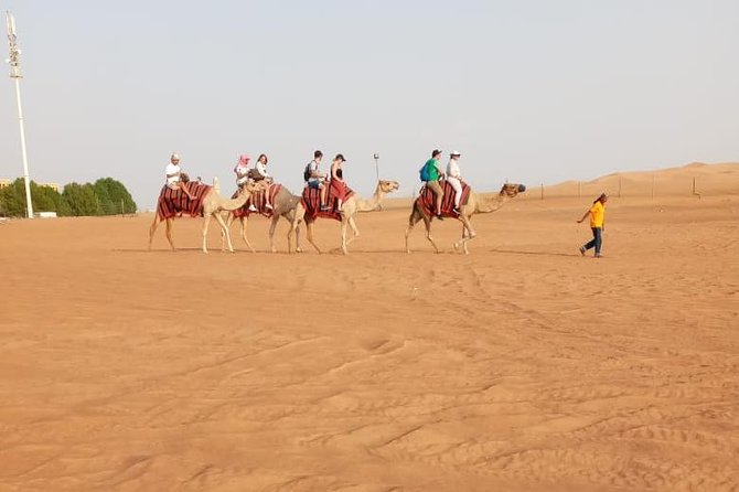 Private - Evening Desert Safari With Camel Ride, BBQ Dinner and Belly Dacne - Health and Accessibility Information