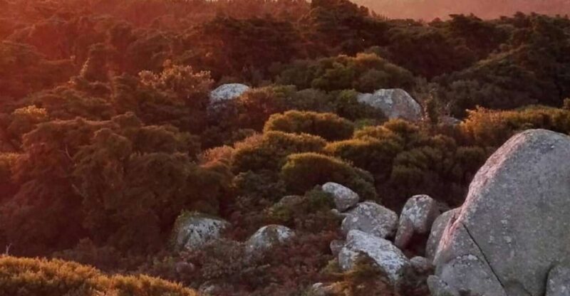 Private Evening Walk: Sintra Mountains Inbetween Wolves - Included in the Tour