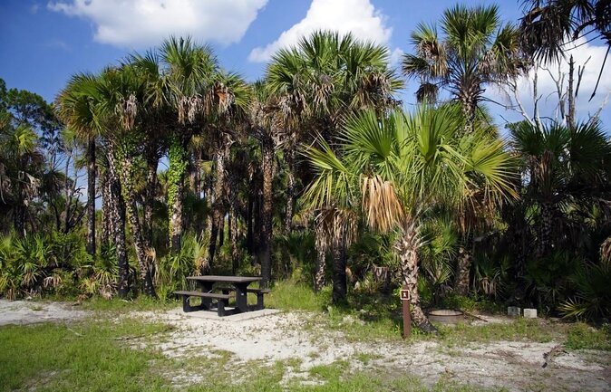Private Everglades and History Tour With Optional Airboat Ride - Key Points