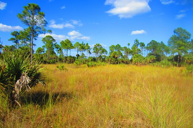 Private Everglades and History Tour With Optional Airboat Ride - Cancellation and Booking Policy