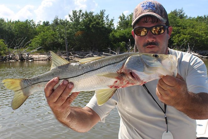 Private Everglades Inshore Fishing Charter in Chokoloskee - Discover the Everglades Fishing Gems