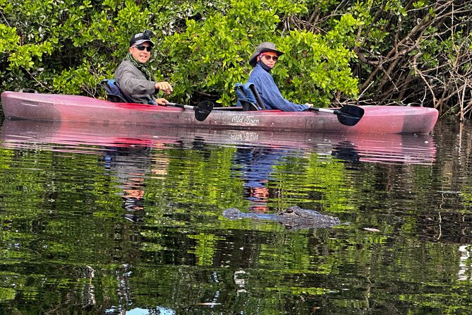 Private Everglades Kayak Tour See The Real Everglades With Us - Key Points