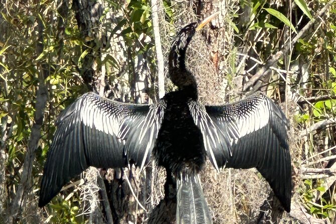 Private Everglades Kayak Tour See The Real Everglades With Us - Booking Information