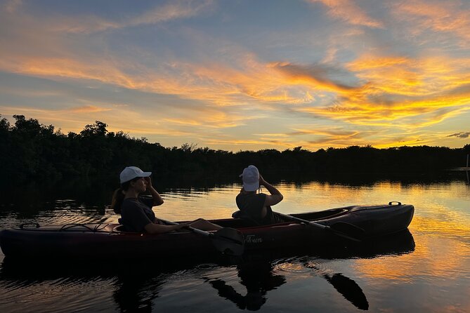 Private Everglades Kayak Tour See The Real Everglades With Us - Unique Wildlife Sightings