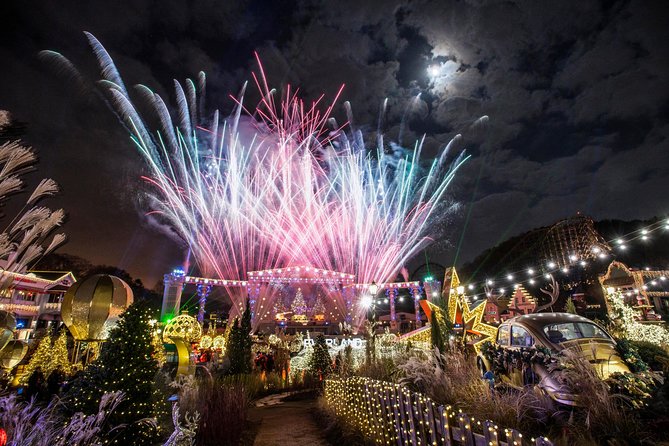 Private Everland Theme Park Tour - Tour Details and Inclusions
