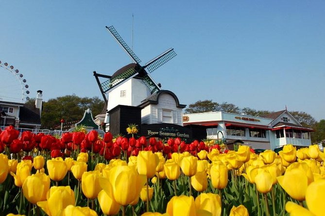 Private Everland Theme Park Tour - Booking and Cancellation Policies