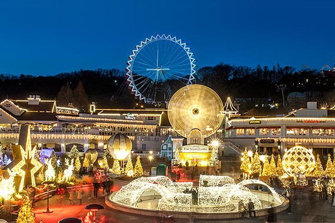 Private Everland Theme Park Tour - Personalized Experience