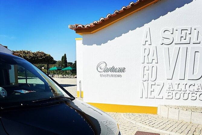 Private Evora Roman Ruins and Wine Tasting Full Day Tour - Recap