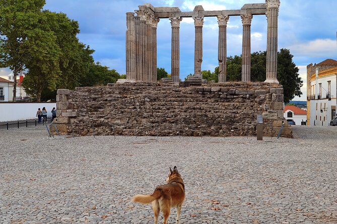 Private Évora Tour - Megaliths, Historical Center and Cork Region - Visiting the Historical Center