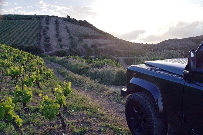 Private Exclusive Manousakis Winery and Vineyard Tour in Chania - Key Points