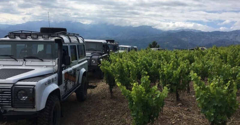 Private Exclusive Manousakis Winery and Vineyard Tour - Key Points