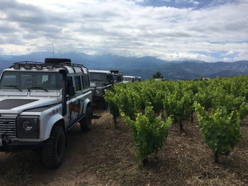 Private Exclusive Manousakis Winery and Vineyard Tour - Itinerary Overview