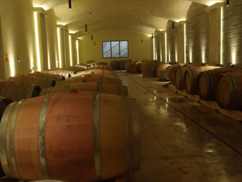 Private Exclusive Manousakis Winery and Vineyard Tour - Winery Tour and Tasting