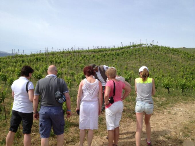Private Exclusive Manousakis Winery and Vineyard Tour - Meal and Wine Pairing