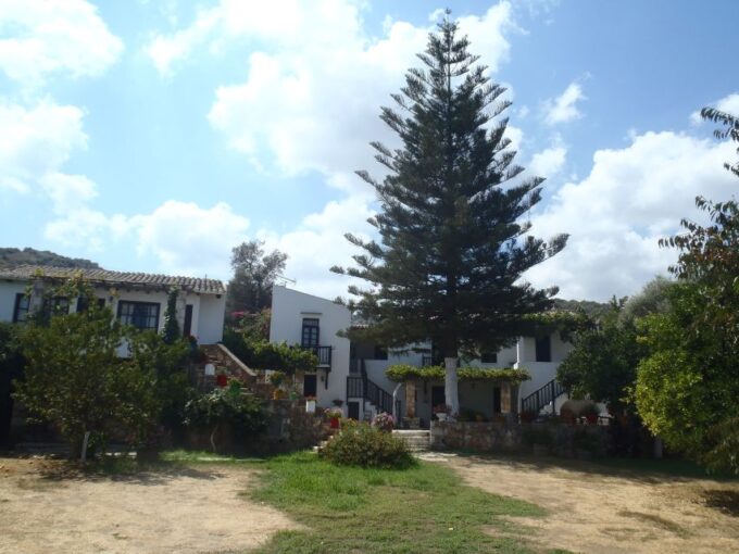 Private Exclusive Manousakis Winery and Vineyard Tour - Tour Restrictions