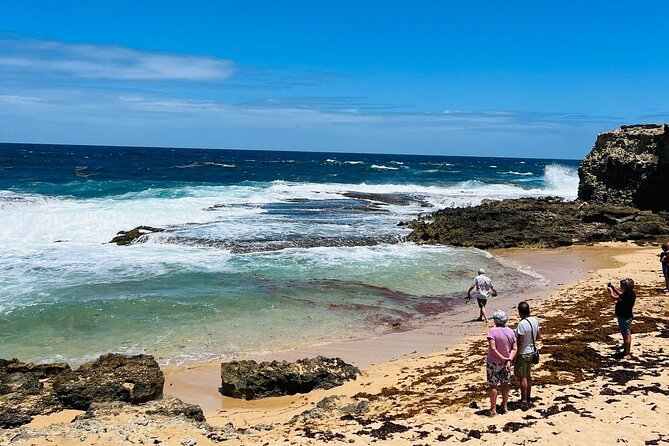 Private Exclusive Scenic Views Tour of Barbados Landscapes - Planning Your Barbados Adventure