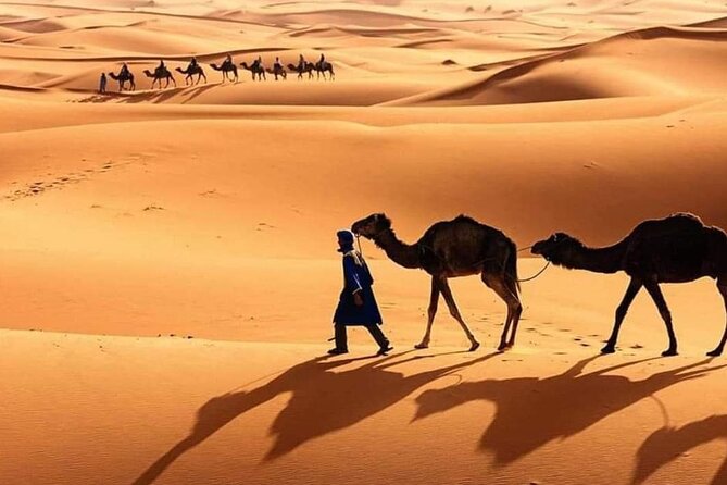 Private Excursion 3 Days The Dunes of Merzouga Departure Marrakech - Health and Accessibility