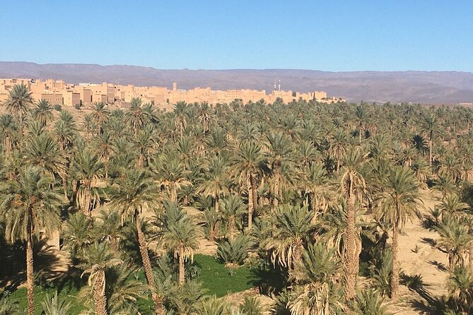 Private Excursion From Ouarzazate to Gorges Dades, Valley of Roses and Skoura - Group Size and Exclusivity