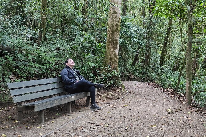 Private Excursion in Cloud Forest in Puntarenas - Exploring the Cloud Forest