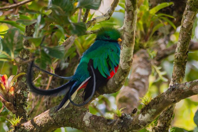 Private Excursion in Cloud Forest in Puntarenas - Parking and Nearby Facilities