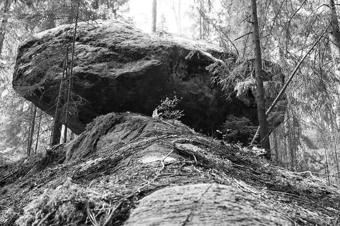Private Excursion Kummakivi, Olavinlinna Castle & Scenic Drive - Scenic Drive Through Finland
