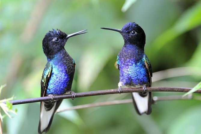 Private Excursion Middle of the World & Hummingbirds Alambi - Exploring the Middle of the World