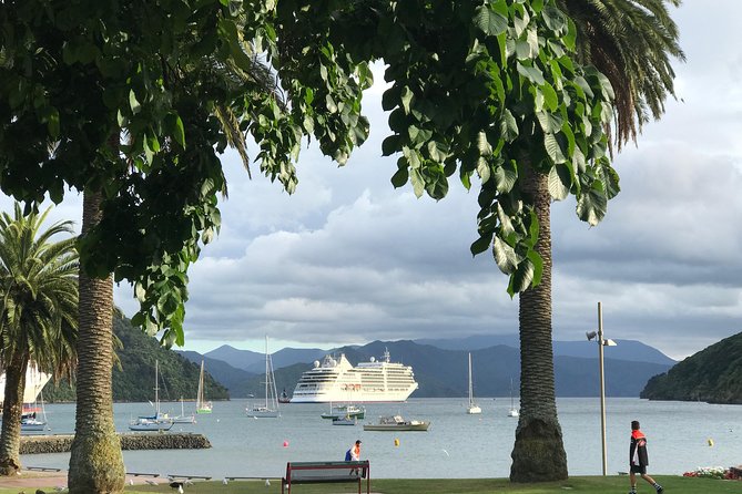 Private Excursion: Scenic and Seascape Delights From Picton - Indulge in Local Wines and Cuisine