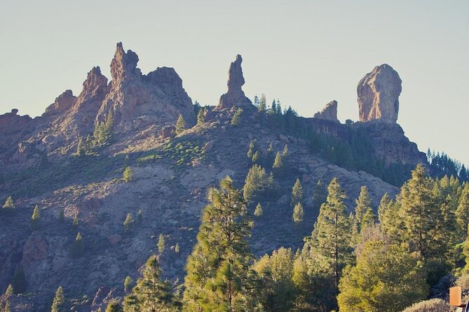 Private Excursion the Mountains of Gran Canaria for 2 to 4 People - Tour Features