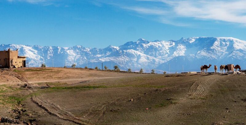 Private Excursion to Agafay Desert From Marrakech - Tour Inclusions