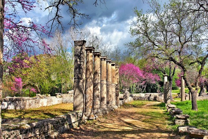 Private Excursion to Ancient Olympia - Bee Farm & Winery - Private Tour Experience