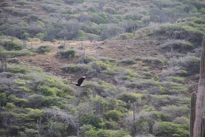 Private Excursion to Arubas Highest Point & Pristine Coral Reef - Pickup and Meeting Details