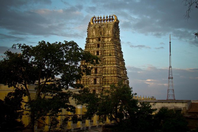 Private Excursion to Mysore and Srirangapatna From Bengaluru - Dress Code and Accessibility