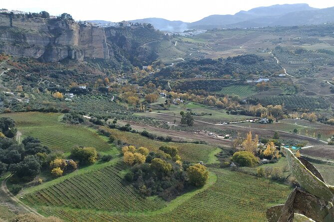 Private Excursion to Ronda From Costa Del Sol 7 Hours - Traveler Reviews: Colette_T