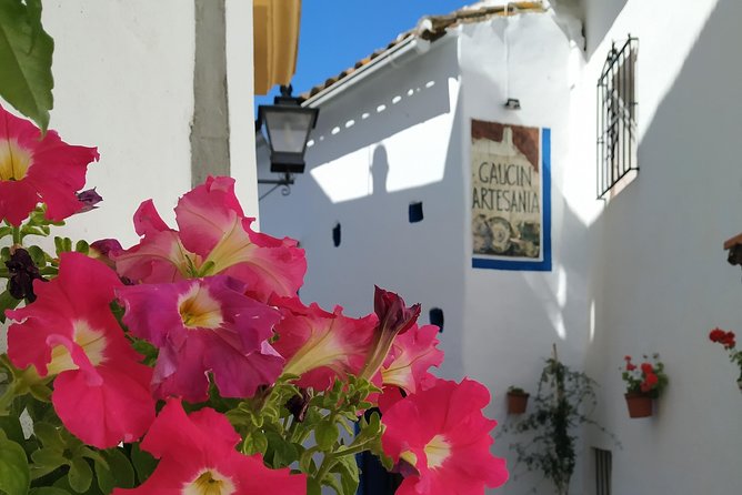 Private Excursion to Ronda From Costa Del Sol 7 Hours - Traveler Reviews: Renae_D, Dadygribs, Lydia_A