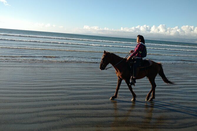 Private excursion to the bufadora and horseback riding on the beach - La Bufadora and Local Markets