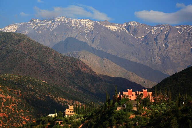 Private Excursion to the Ourika Valley From Marrakech - Traveler Reviews