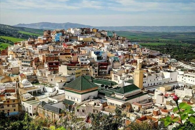 Private Excursion to Volubilis Meknes and Moulay Idriss From Fez - Tour Overview