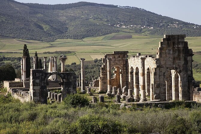 Private Excursion to Volubilis Meknes and Moulay Idriss From Fez - Highlights of the Excursion