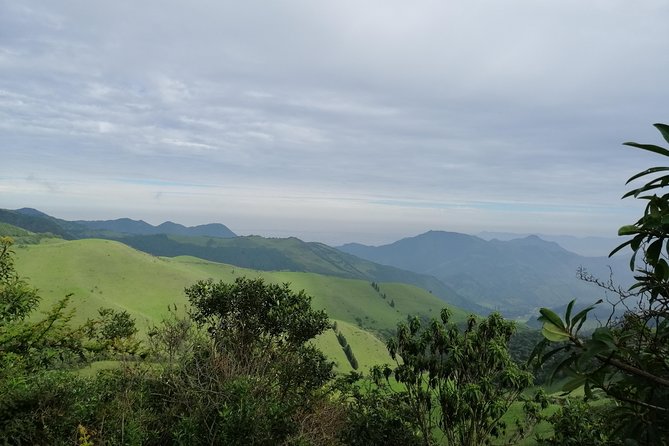 Private Excursion to Yanacocha Reserve- Bird Watch - Meeting and Pickup