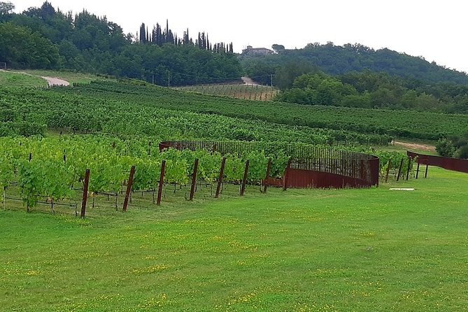 PRIVATE EXCURSION: Volterra & San Gimignano + Wine Tastings (From Livorno Port) - Discovering San Gimignanos Towers