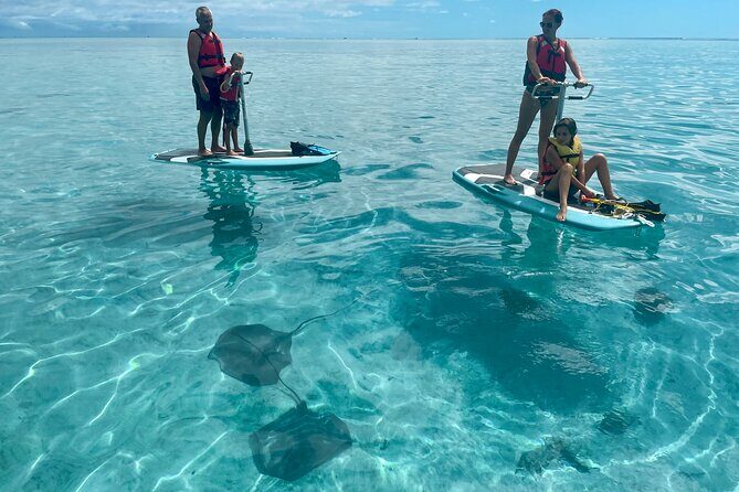 Private Excursion with E-Board in Moorea with snorkeling - What Makes This Tour Unique