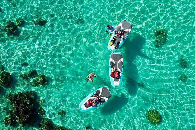 Private Excursion with E-Board in Moorea with snorkeling - Who Will Enjoy This Tour?