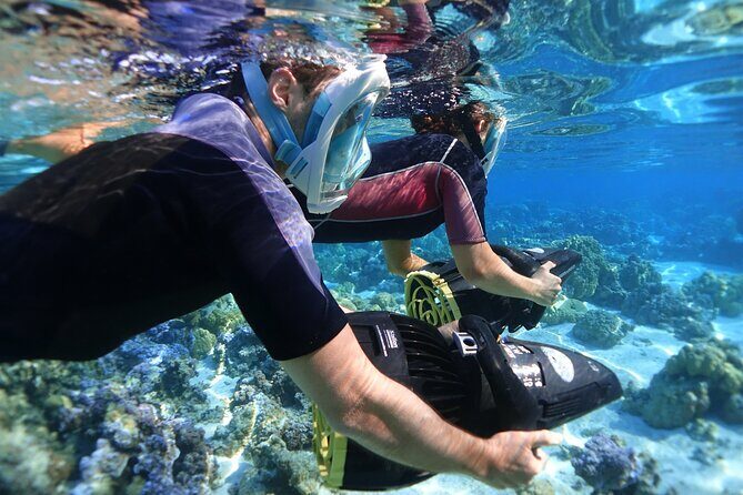 Private Excursion with E-Board in Moorea with snorkeling - FAQ