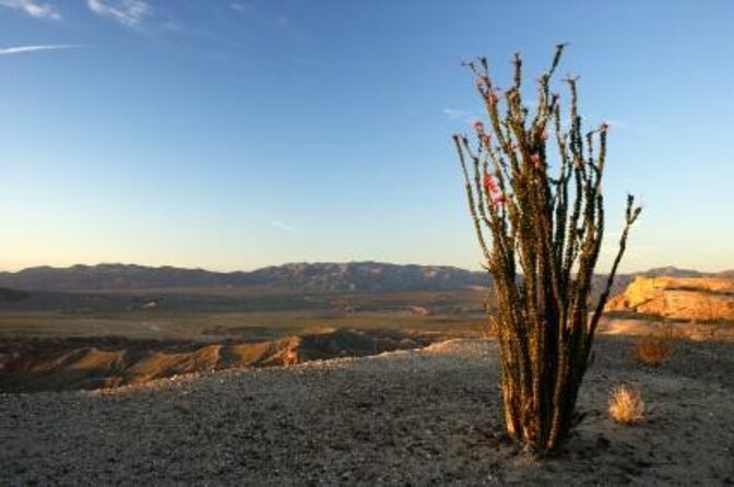 Private Expedition to Anza-Borrego State Park - Hiking Through Rugged Mountain Trails