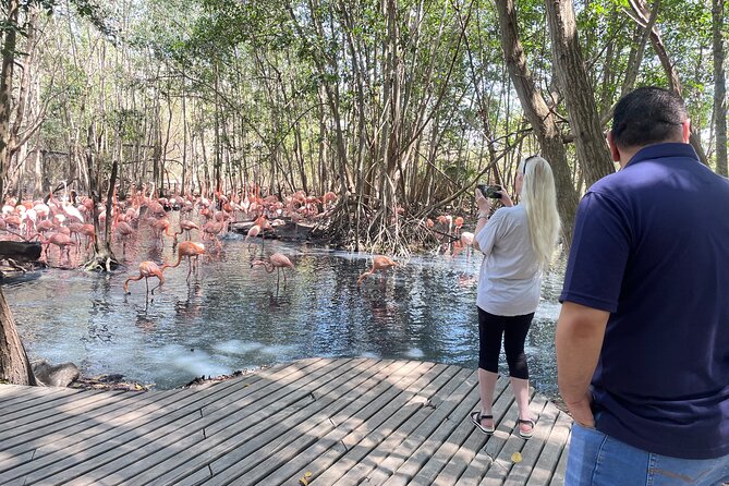 Private Experience at the National Aviary of Colombia - Aviarys Three Ecosystems